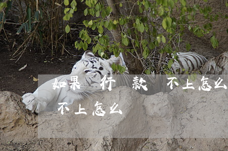 如果銀行貸款還不上怎么辦(如果銀行貸款還不上怎么辦)