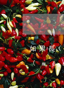 如果長(zhǎng)時(shí)間欠網(wǎng)貸不還怎么辦(網(wǎng)貸欠了很久沒(méi)還怎么辦)