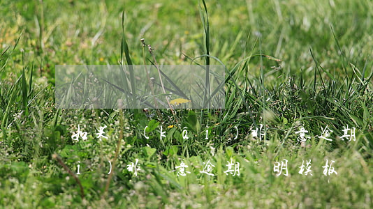 如果開(kāi)非惡意逾期證明 開(kāi)非惡意逾期證明模板
