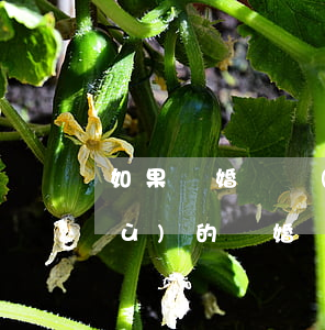 如果離婚債務(wù)是怎么還(有債務(wù)的離婚應(yīng)該怎么離)