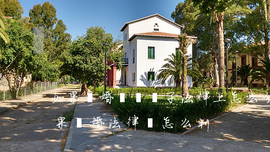 如果離婚兩個兒子法律上怎么分(兩個兒子如果離婚法律會怎么判)