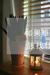 如果離婚在哪里找律師(離婚應(yīng)該找什么律師)