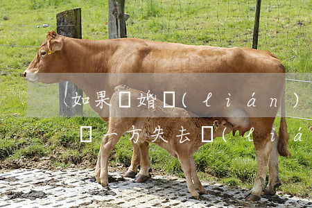 如果離婚聯(lián)系不到另一方怎么辦(一方失去聯(lián)系如何離婚)