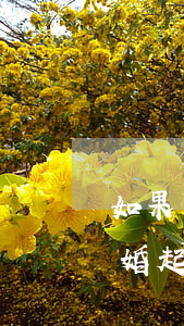 如果離婚起訴過程中一方債務逾期-如果離婚起訴過程中一方債務逾期怎么辦