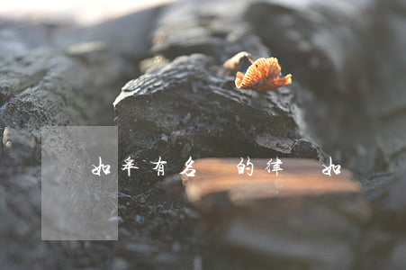 如皋有名氣的律師(如東縣名氣大的律師)