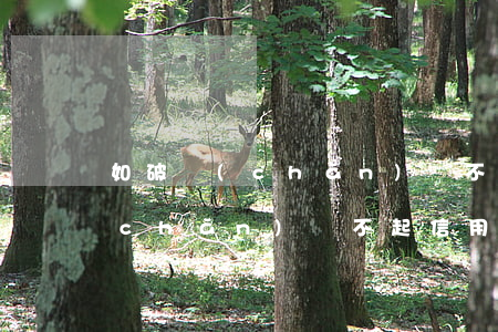如破產(chǎn)還不起信用卡(如破產(chǎn)還不起信用卡怎么處理)