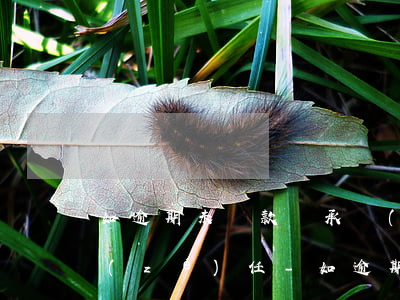 如逾期未還款將承擔(dān)一切法律責(zé)任-如逾期未還款將承擔(dān)一切法律責(zé)任嗎