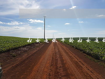 妇女退休年龄，妇女退休年龄是多少