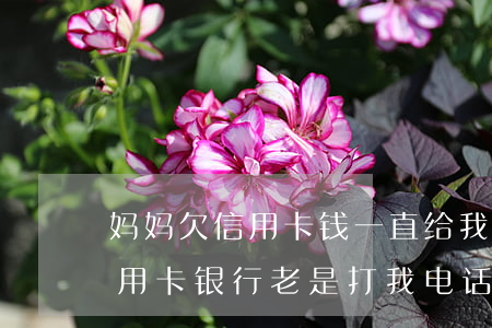 妈妈欠信用卡钱一直给我打电话-母亲欠信用卡银行老是打我电话