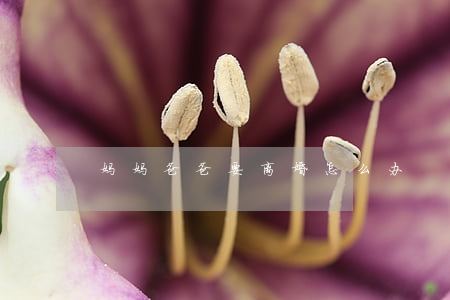 妈妈爸爸要离婚怎么办