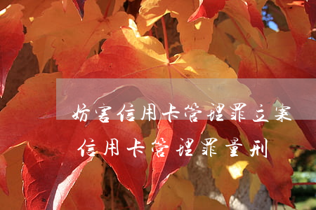 妨害信用卡管理罪立案標準_2021妨害信用卡管理罪量刑標準和認定構成要件