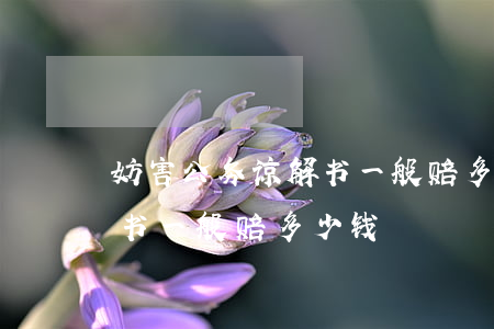 妨害公务谅解书一般赔多少钱(妨害公务谅解书一般赔多少钱)