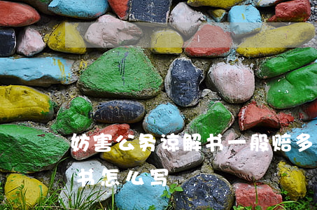 妨害公务谅解书一般赔多少钱(妨害公务谅解书怎么写)