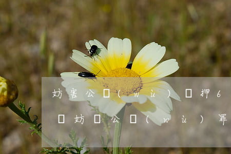 妨害公務(wù)羈押6個月后諒解書有用嗎(妨礙公務(wù)罪需要派出所的諒解書嗎)