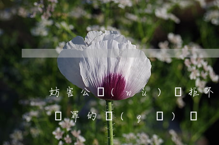 妨害公務(wù)與拒不執(zhí)行判決罪的區(qū)別