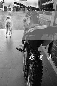 妨害清算罪