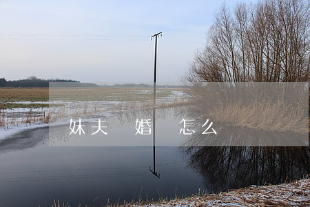 妹夫離婚該怎么辦