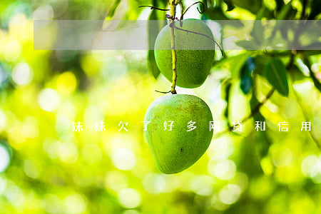 妹妹欠了好多网贷和信用卡