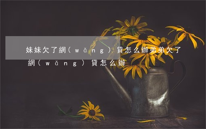 妹妹欠了網(wǎng)貸怎么辦(弟弟欠了網(wǎng)貸怎么辦)