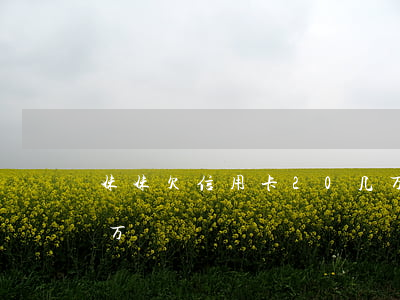 妹妹欠信用卡20几万(我老妈欠信用卡25万)
