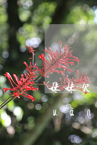 妹妹欠的網(wǎng)貸跟姐姐有關(guān)系嗎(妹妹貸款還不上姐姐有關(guān)系嗎)