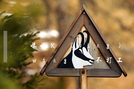 妹妹欠網(wǎng)貸不打工(妹妹欠網(wǎng)貸不打工)