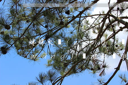 妹妹欠網(wǎng)貸被起訴(妹妹欠網(wǎng)貸被起訴我受影響嗎)