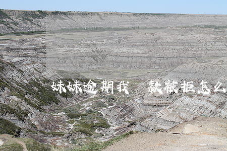 妹妹逾期我貸款被拒(怎么拒絕幫親妹妹貸款)