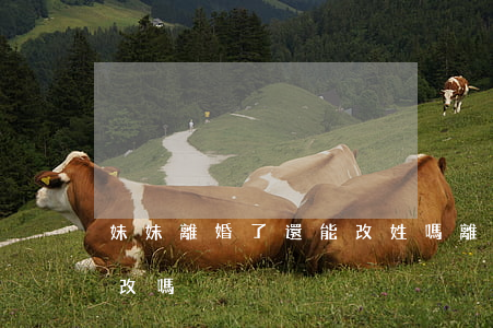 妹妹離婚了還能改姓嗎(離婚后女兒的姓可以改嗎)