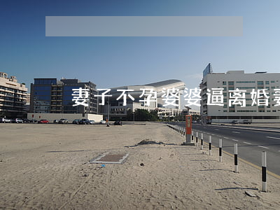 妻子不孕婆婆逼离婚(妻子不孕婆婆逼离婚)