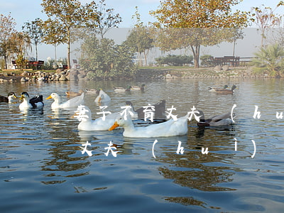 妻子不育丈夫會(huì)離婚嗎(妻子不育丈夫會(huì)離婚嗎)