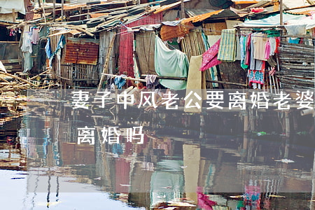 妻子中风老公要离婚(老婆有重病老公能提出离婚吗)