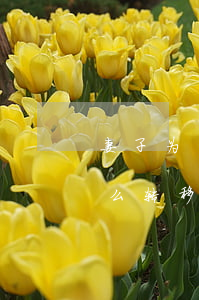 妻子为了离婚丈夫转移财产(老公出轨妻子怎么转移财产)