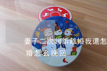 妻子二次起訴離婚我還怎么挽留(妻子起訴離婚怎么挽回)