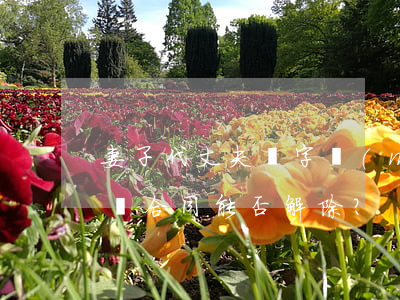 妻子代丈夫簽字賣(mài)房，丈夫拒售，所簽合同能否解除？