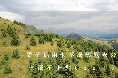 妻子信用卡不還影響老公嗎(丈夫生前欠信用卡還不上,對(duì)妻子有什么影響)