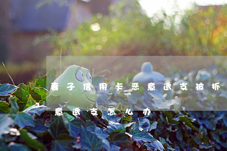 妻子信用卡恶意透支被抓(信用卡被银行告恶意透支怎么办)