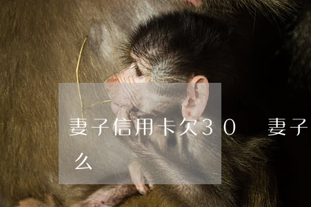 妻子信用卡欠30萬(妻子信用卡欠30萬怎么辦)
