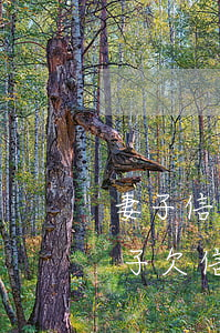 妻子信用卡欠3萬(wàn)影響貸款嗎(妻子欠信用卡的錢(qián),丈夫有義務(wù)還嗎)