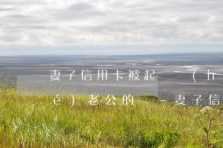妻子信用卡被起訴會(huì)凍結(jié)老公的嗎-妻子信用卡被起訴會(huì)凍結(jié)老公的嗎怎么辦