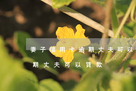 妻子信用卡逾期丈夫可以貸款(妻子信用卡逾期丈夫可以貸款)