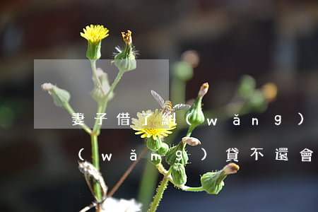 妻子借了網(wǎng)貸還不起(妻子借網(wǎng)貸不還會對丈夫什么影響)
