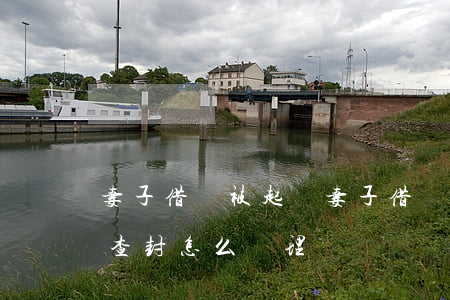 妻子借錢被起訴(妻子借錢被起訴法院把我車查封怎么處理)