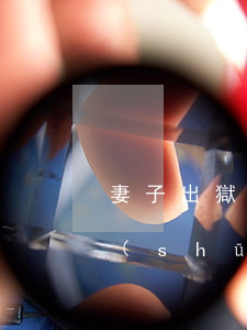 妻子出獄當(dāng)天丈夫收到離婚書(shū)(丈夫入獄妻子馬上提出離婚完整)