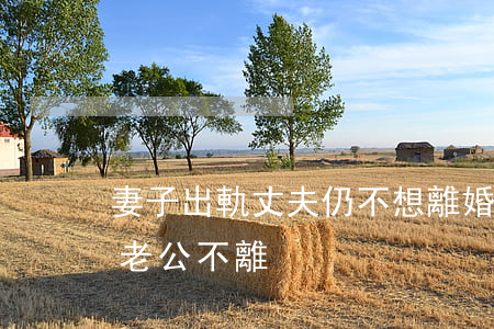 妻子出軌丈夫仍不想離婚(女人出軌提出離婚老公不離)