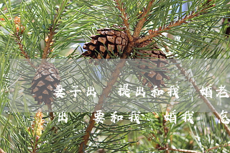 妻子出軌提出和我離婚(老婆婚內(nèi)出軌要和我離婚我該怎么辦)