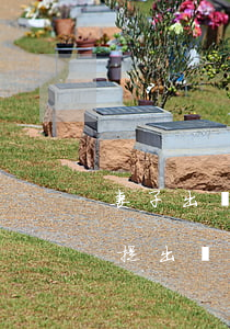 妻子出軌離婚男方可以要求什么(男方出軌并提出離婚女應(yīng)該提出什么要求)