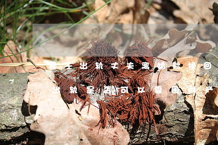 妻子出轨丈夫离婚能挽回吗(离婚后发现妻子出轨是否可以要回财产)
