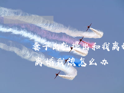 妻子出轨提出和我离婚(老婆婚内出轨要和我离婚我该怎么办)