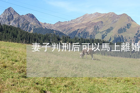 妻子判刑后可以馬上離婚嗎(判刑后能離婚嗎)
